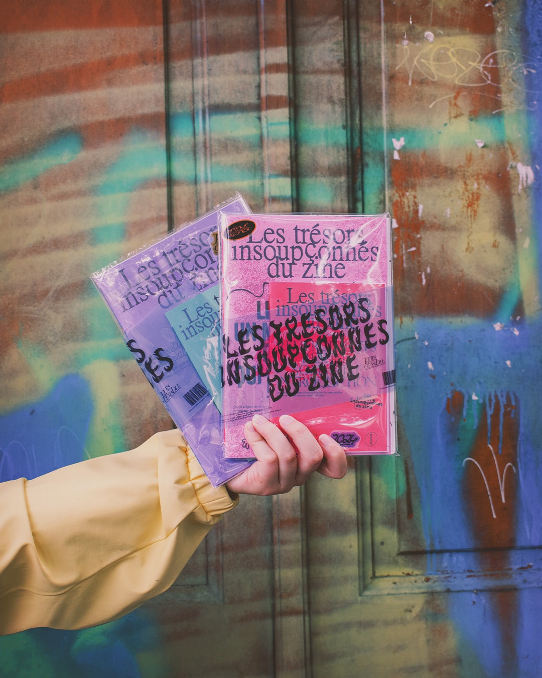 les trésors insoupçonnées du zine mémoire sur les fanzines
