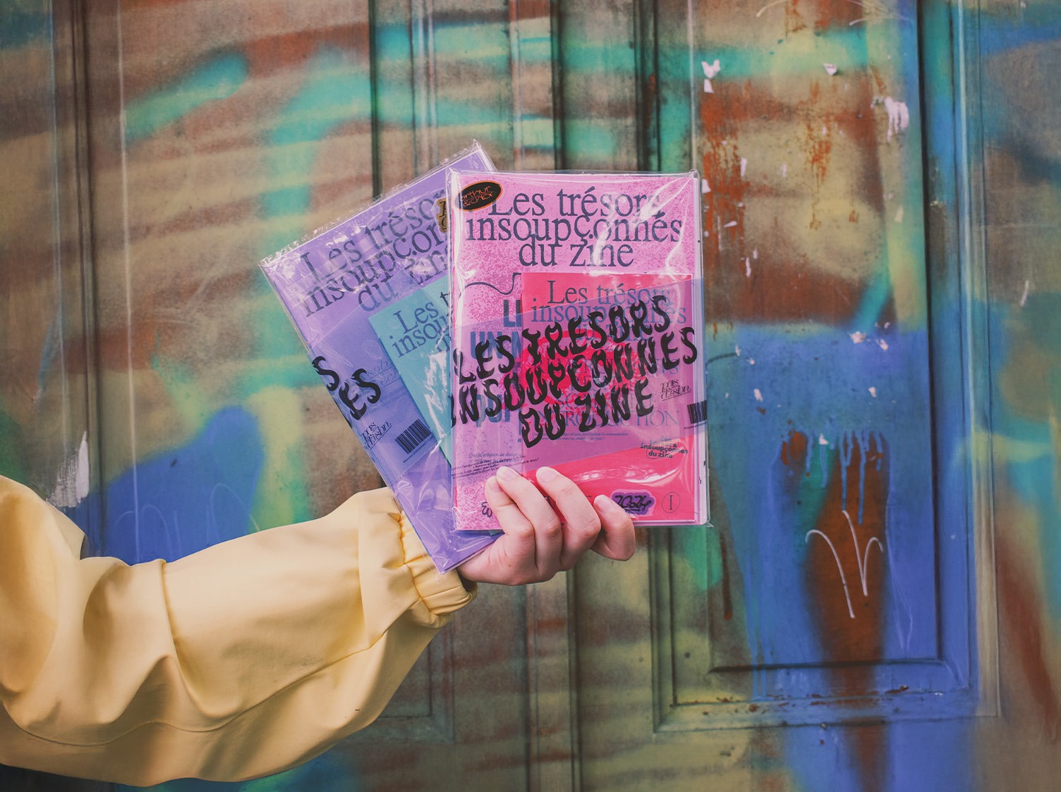 les trésors insoupçonnées du zine mémoire sur les fanzines