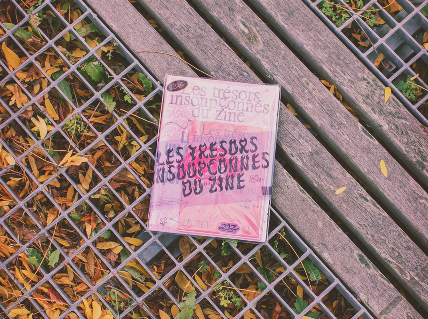 les trésors insoupçonnées du zine mémoire sur les fanzines