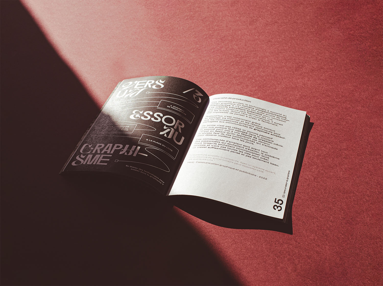 tu l'as fait avec quoi ? mémoire dnmade graphisme mise en page