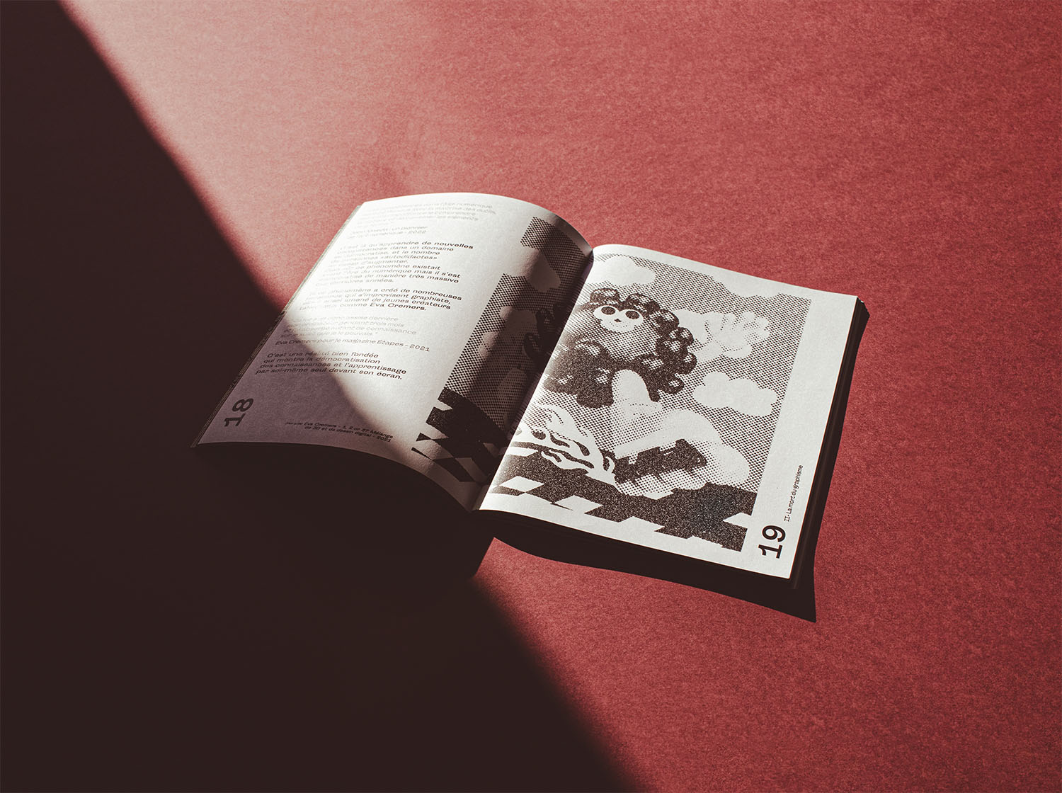 tu l'as fait avec quoi ? mémoire dnmade graphisme mise en page
