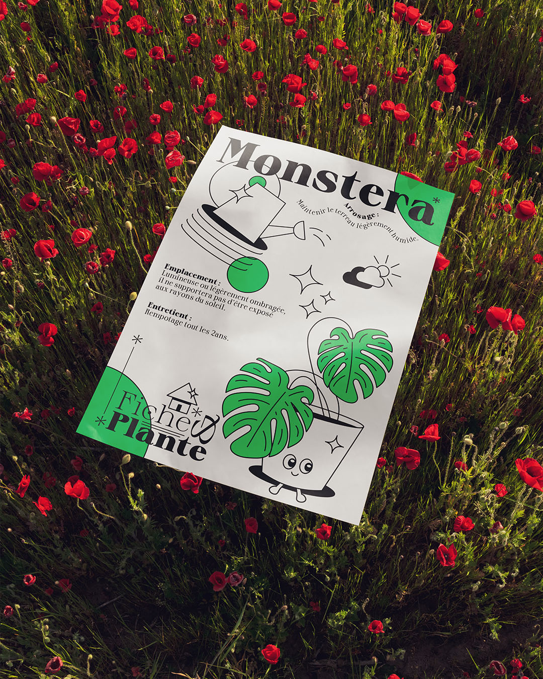 Fiches_et_plantes_couverture
