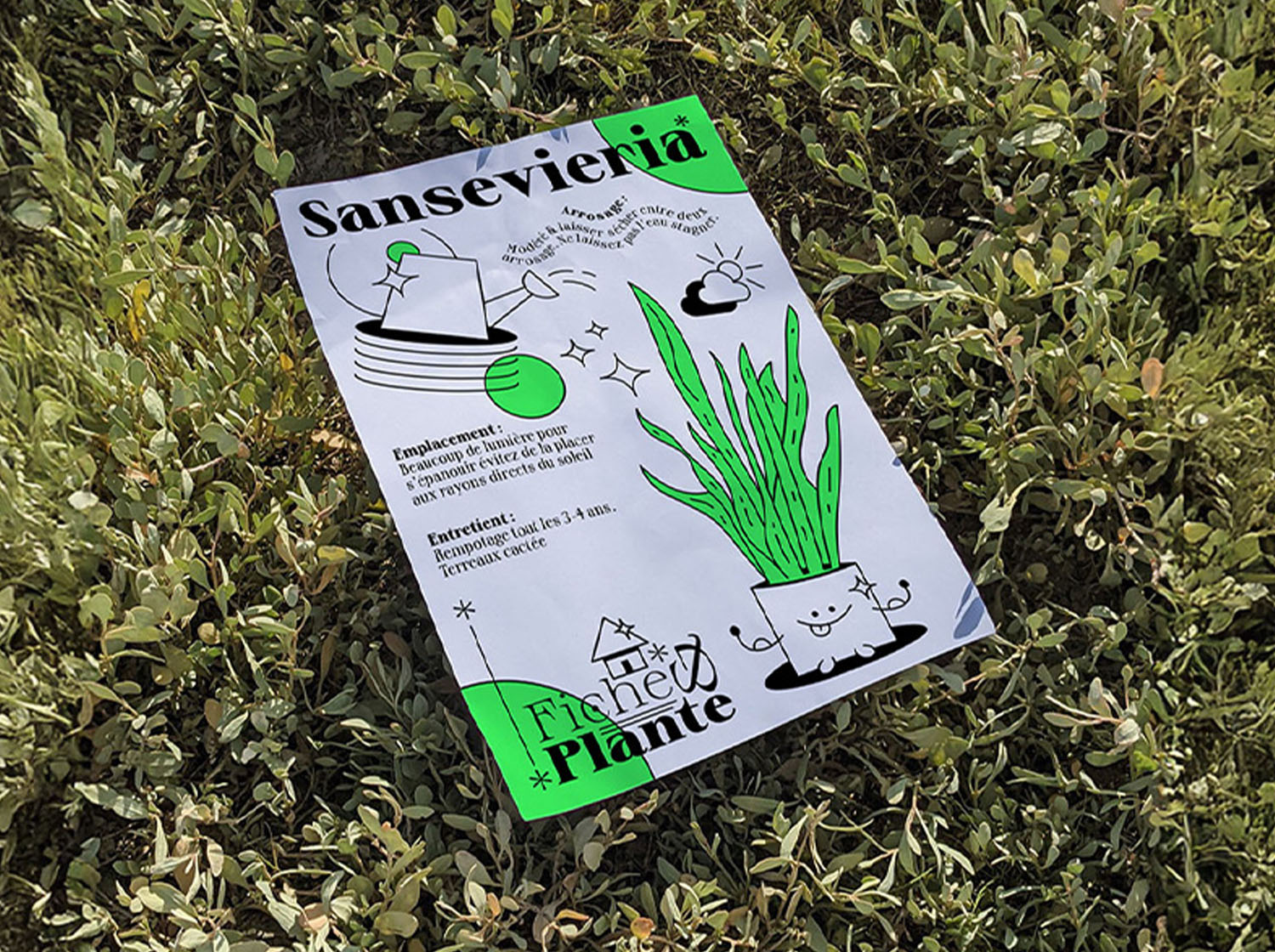 fiches & plantes