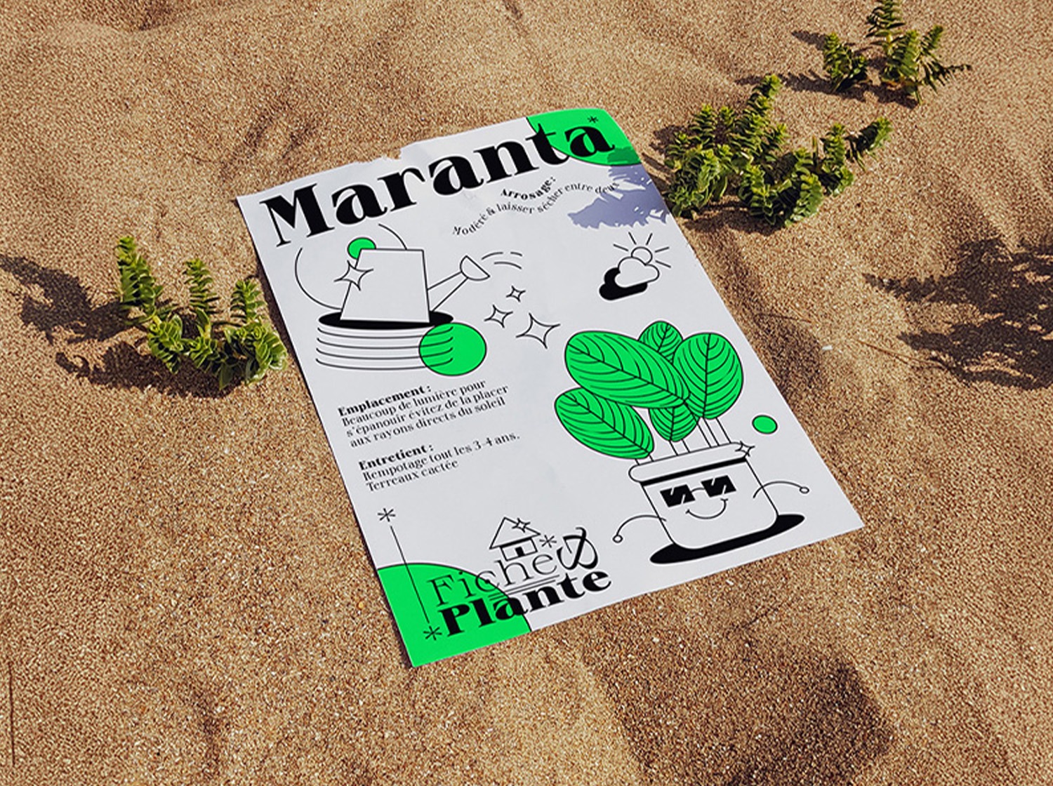 fiches & plantes