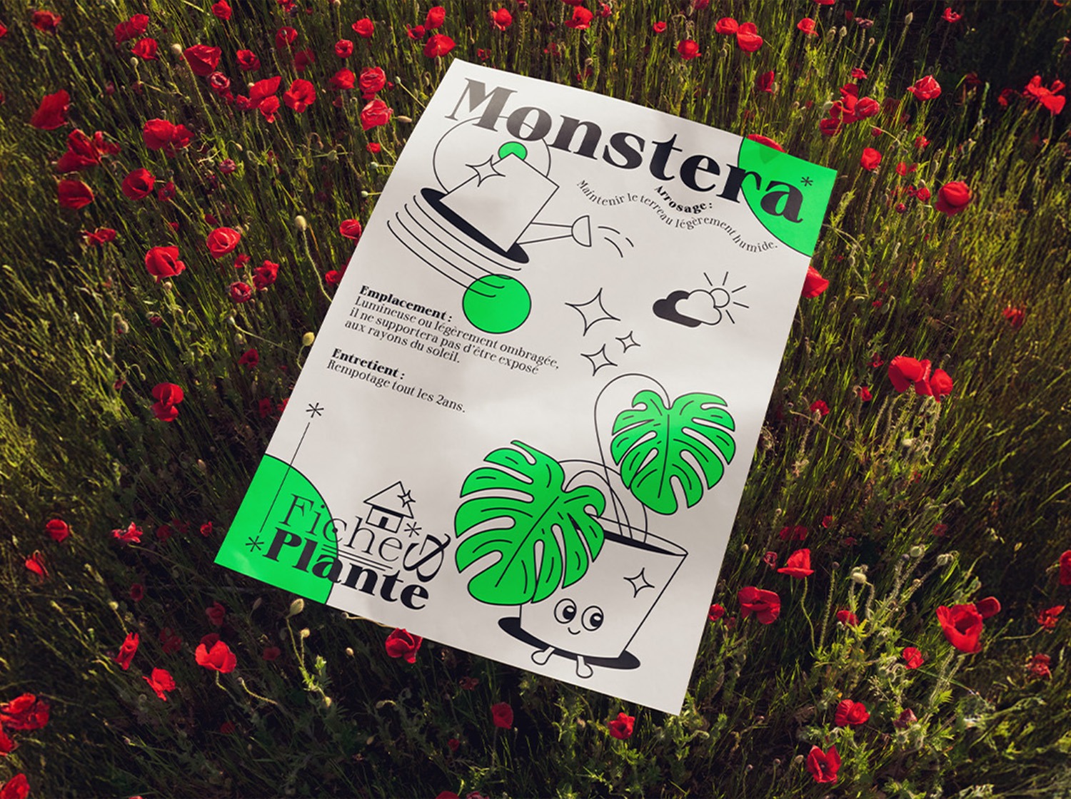 fiches & plantes